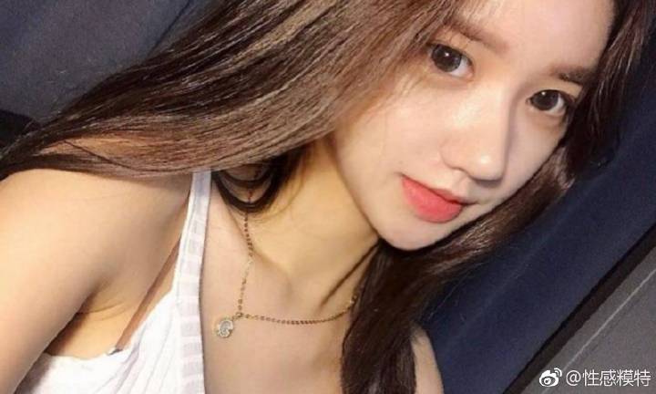 拓展合作新机遇 第八届进博会招商路演走进河北